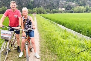 Depuis Hanoï : visite en petit groupe d'une journée à Ninh Binh