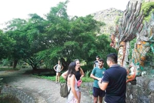Depuis Hanoï : visite en petit groupe d'une journée à Ninh Binh