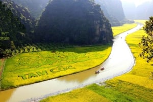 Depuis Hanoï : visite en petit groupe d'une journée à Ninh Binh