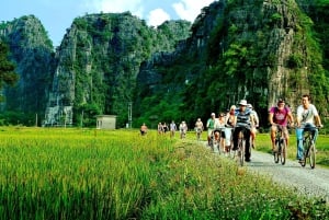 Depuis Hanoï : visite en petit groupe d'une journée à Ninh Binh