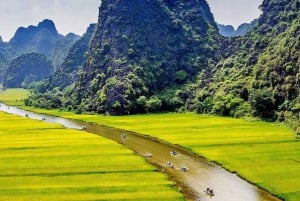 Depuis Hanoï : visite en petit groupe d'une journée à Ninh Binh