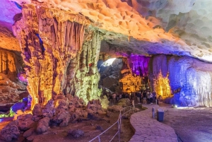 Ninh Binh: Galaxy Cave, Hoa Lu, Mua Cave & Bich Dong Tour