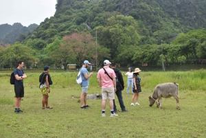 Ninh Binh Day trip, limousine bus, buffet lunch - best price