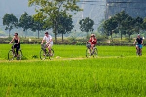 Ninh Binh: Dagsutflykt till Hoa Lu, Trang An och Hang Mua