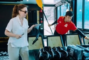 Ninh Binh: Luksusowe rejsy z balkonem po zatoce Lan Ha i Halong