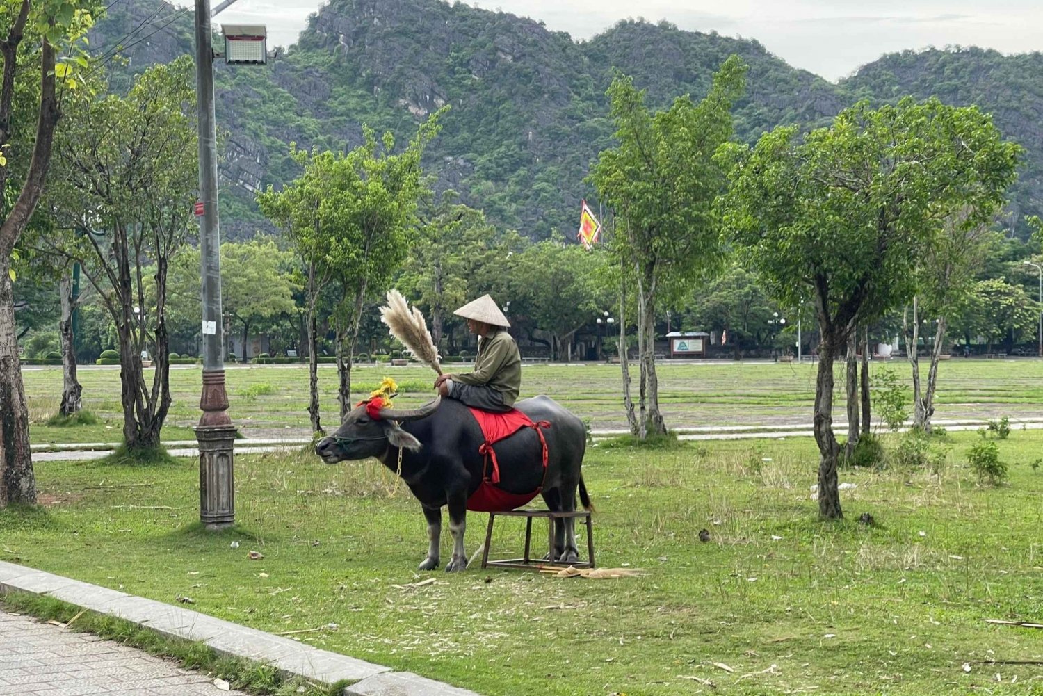 Ninh Binh Luxury Day Tour from Hanoi (Trang An - Hoa Lu)