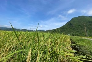 Hanoi: 2-Day Halong & Lan Ha Bay Luxury Cruise with Balcony