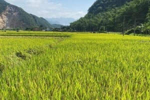 Hanoi: 2-Day Halong & Lan Ha Bay Luxury Cruise with Balcony