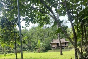 Hanoi: 2-Day Halong & Lan Ha Bay Luxury Cruise with Balcony