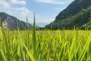 Hanoi: 2-Day Halong & Lan Ha Bay Luxury Cruise with Balcony