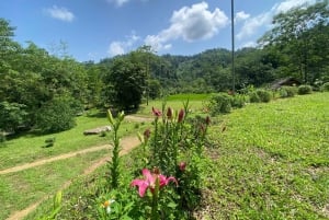 Hanoi: 2-Day Halong & Lan Ha Bay Luxury Cruise with Balcony