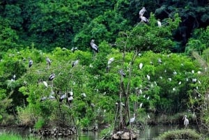 Ninh Binh motorsykkeltur