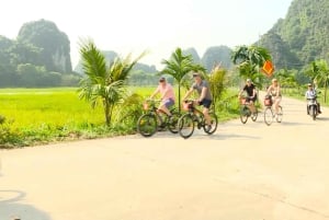 Ninh Binh: Mua Cave Hike, Trang An Boat & Village Bike Tour