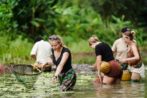 Ninh Binh: Reisanbau und Fischfang per Korbtour