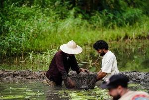 Ninh Binh : Plantation de riz et pêche en panier