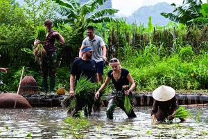 Ninh Binh: Plantação de arroz e pesca em um passeio de cesta