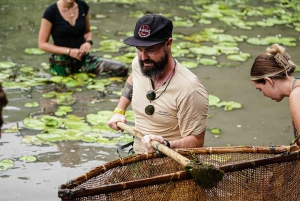 Ninh Binh : Plantation de riz et pêche en panier