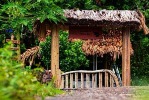 Ninh Binh: Rijst planten en vissen per mand tour