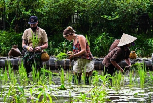 Ninh Binh: Risplanting og fiske med kurvtur