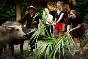 Ninh Binh: Rijst planten en vissen per mand tour