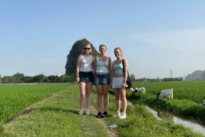 Ninh Binh Sightseeing, Culture, Food & Fun By Army Jeep