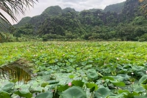 Ninh Binh Sunset Jeep Tour & Hoa Lu Walking Town At Night