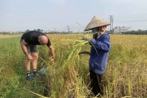 Ninh Binh Sunset Jeep Tour & Hoa Lu Walking Town At Night