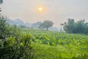 Tour del tramonto di Ninh Binh e visita della città antica di Hoa Lu