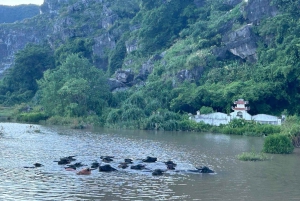 Ninh Binh Sunset Tour And Visit Hoa Lu Ancient Town