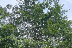 Ninh Binh: Tam Coc Boat Ride, Countryside Bike & Embroidery