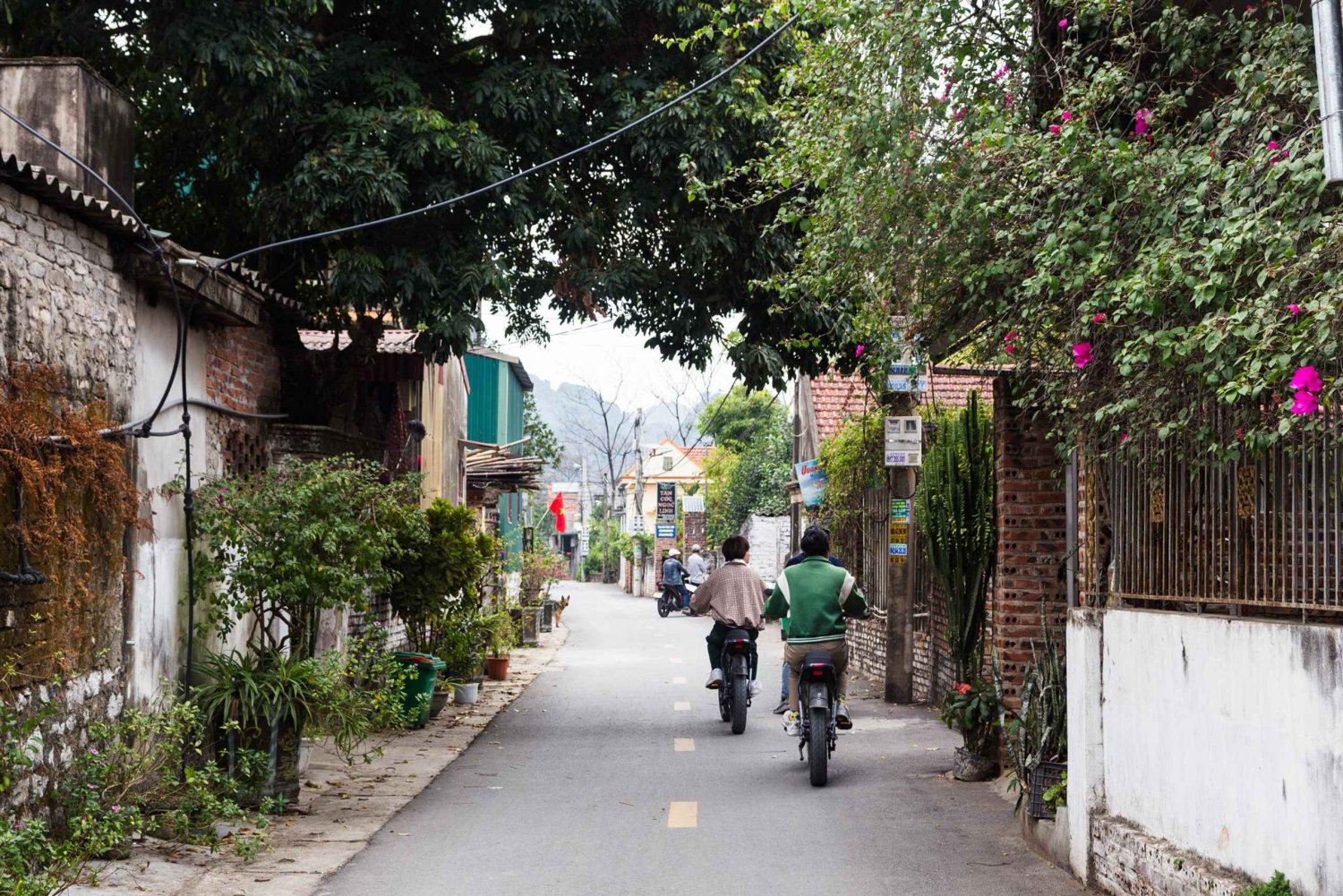 Ninh Binh E-Bike Tour - Tam Coc Wonders