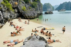 Ninh Binh: Traslado a la isla de Cat Ba en autobús de horario múltiple