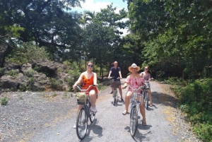 Tour di Ninh Binh: Tour di un giorno intero in barca di Hoa Lu e Tam Coc