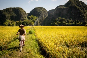 Ninh Binh Tour: Heldagstur til Hoa Lu og Tam Coc bådtur