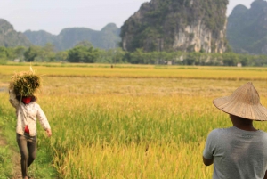 Tour di Ninh Binh: Tour di un giorno intero in barca di Hoa Lu e Tam Coc