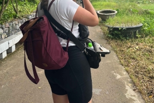 Ninh binh: gita di 1 giorno a Trang An e alla Pagoda di Bai Dinh