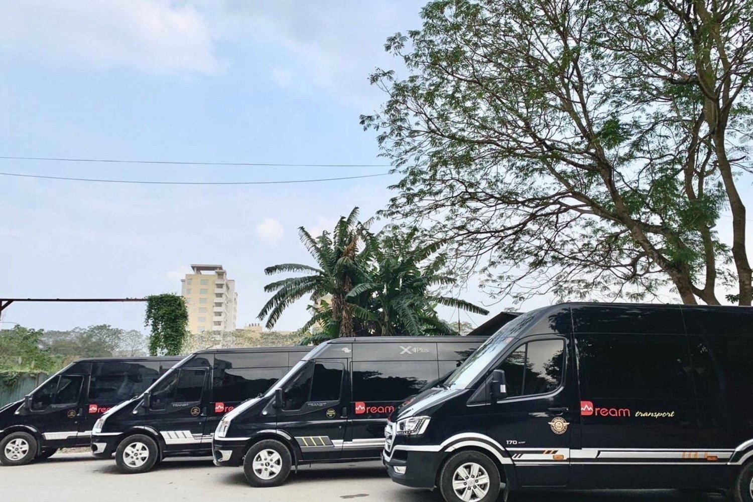 Ninh Binh: Transfer nach oder von Ha Long mit dem Limousinenbus