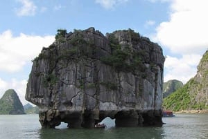 Ninh Binh: Transfer to or from Ha Long By Limousine Bus