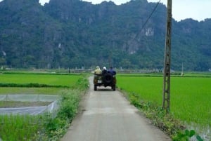 Ninh Binh : randonnée dans la jungle de Cuc Phuong, faune sauvage et grottes anciennes