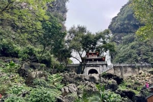 Ninh Binh : randonnée dans la jungle de Cuc Phuong, faune sauvage et grottes anciennes
