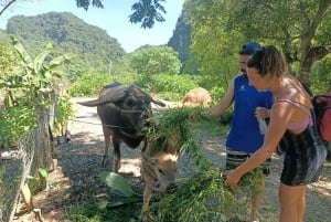 Ninh Binh : randonnée dans la jungle de Cuc Phuong, faune sauvage et grottes anciennes