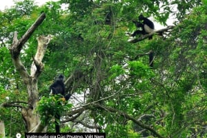 Ninh Binh: vida salvaje, ruta de senderismo por la selva y tour guiado por el parque Cuc Phuong