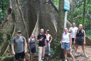 Ninh Binh: vida salvaje, ruta de senderismo por la selva y tour guiado por el parque Cuc Phuong