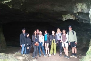 Ninh Binh: vida salvaje, ruta de senderismo por la selva y tour guiado por el parque Cuc Phuong