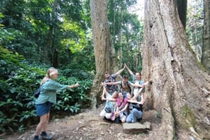 Ninh Binh: vida salvaje, ruta de senderismo por la selva y tour guiado por el parque Cuc Phuong