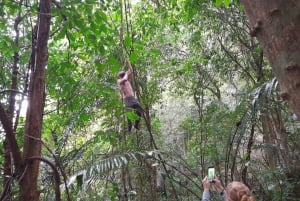 Ninh Binh: vida salvaje, ruta de senderismo por la selva y tour guiado por el parque Cuc Phuong