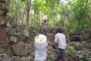 Ninh Binh: vida salvaje, ruta de senderismo por la selva y tour guiado por el parque Cuc Phuong