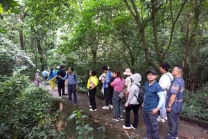 Ninh Binh: vida salvaje, ruta de senderismo por la selva y tour guiado por el parque Cuc Phuong