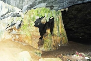 Ninh Binh: vida salvaje, ruta de senderismo por la selva y tour guiado por el parque Cuc Phuong