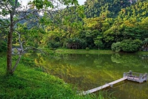 Ninh Binh: vida salvaje, ruta de senderismo por la selva y tour guiado por el parque Cuc Phuong